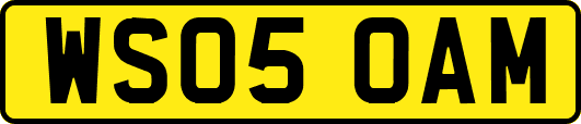 WS05OAM