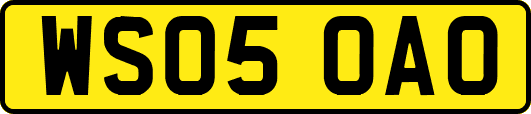 WS05OAO