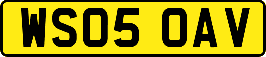 WS05OAV