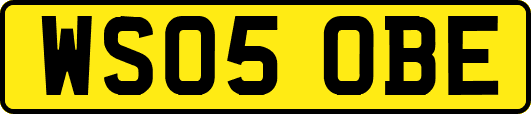 WS05OBE