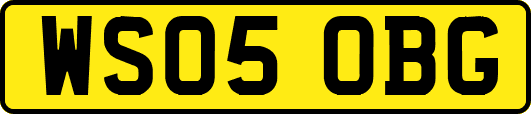 WS05OBG