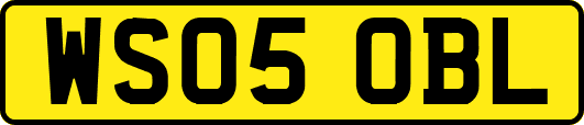 WS05OBL