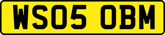 WS05OBM