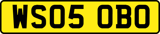 WS05OBO