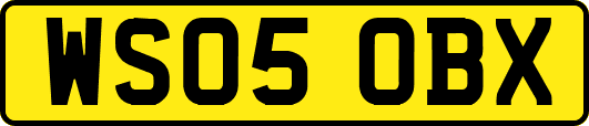 WS05OBX
