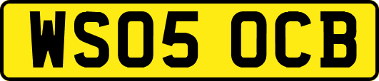 WS05OCB