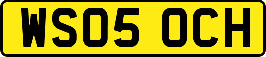WS05OCH