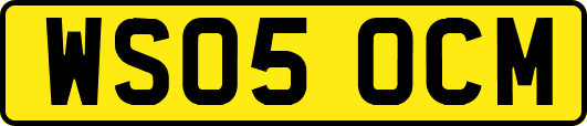 WS05OCM