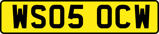 WS05OCW