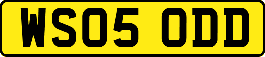 WS05ODD