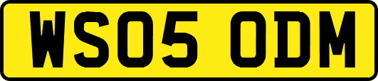 WS05ODM