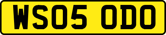 WS05ODO