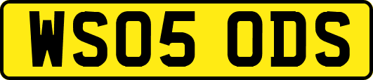 WS05ODS