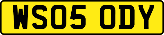 WS05ODY