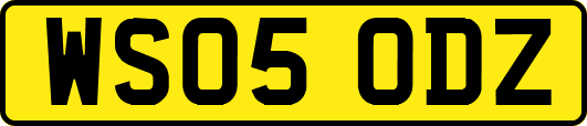 WS05ODZ