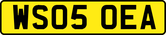 WS05OEA