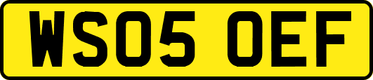 WS05OEF