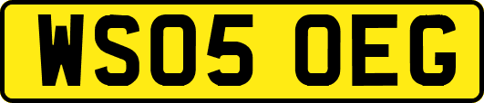 WS05OEG