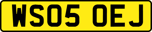 WS05OEJ