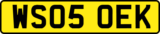 WS05OEK
