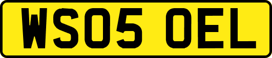 WS05OEL