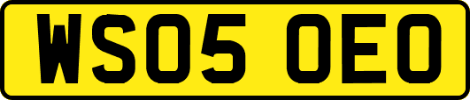 WS05OEO