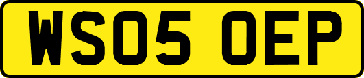 WS05OEP