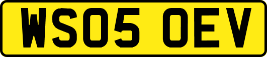 WS05OEV