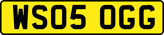 WS05OGG