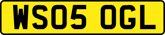 WS05OGL