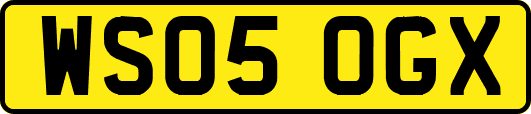 WS05OGX