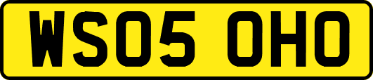 WS05OHO