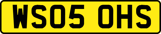 WS05OHS