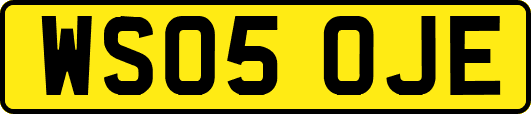 WS05OJE