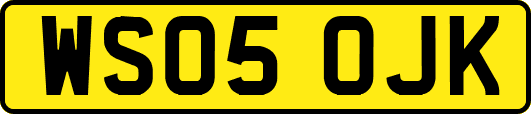 WS05OJK