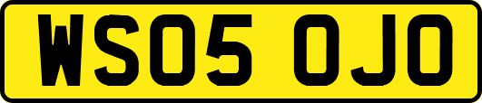 WS05OJO