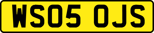 WS05OJS