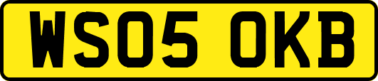 WS05OKB