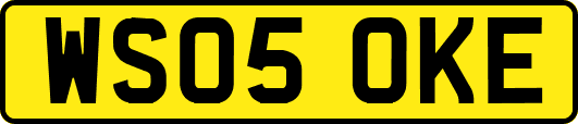 WS05OKE