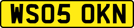 WS05OKN