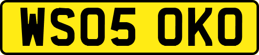 WS05OKO