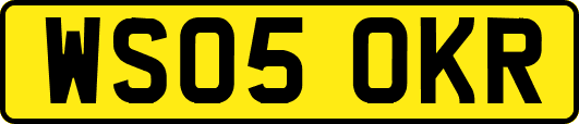 WS05OKR