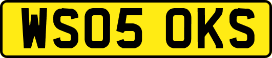 WS05OKS