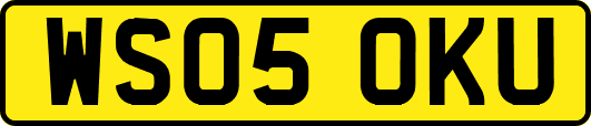 WS05OKU