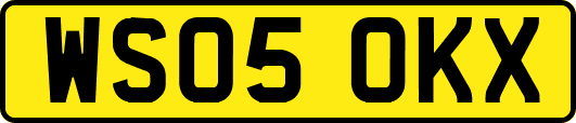 WS05OKX