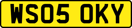WS05OKY