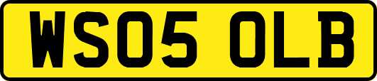 WS05OLB