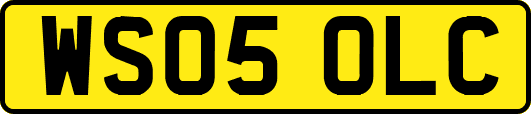 WS05OLC