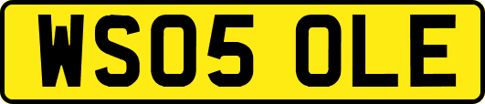 WS05OLE