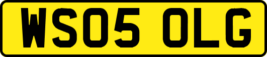 WS05OLG